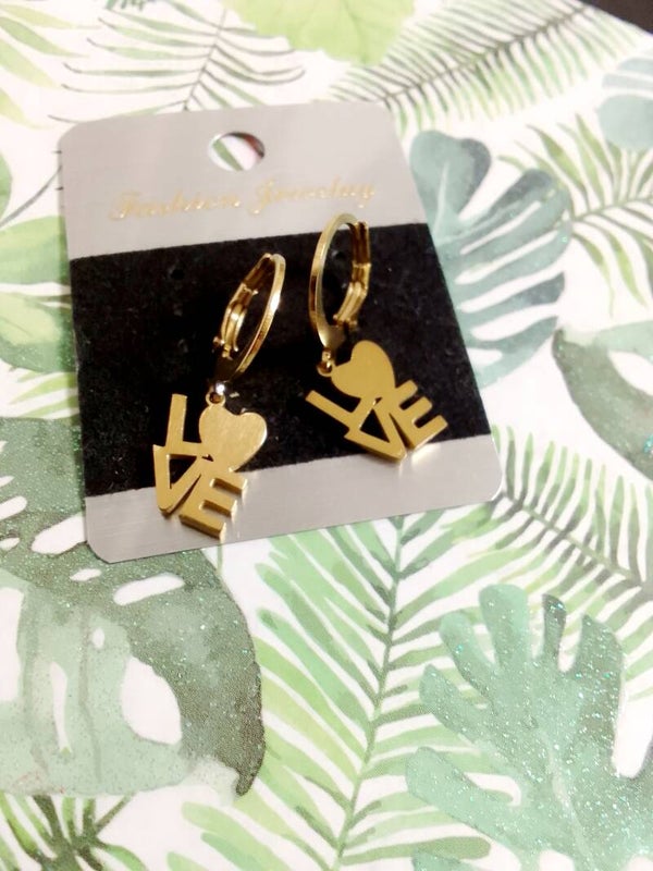 Stainless steel Earrings