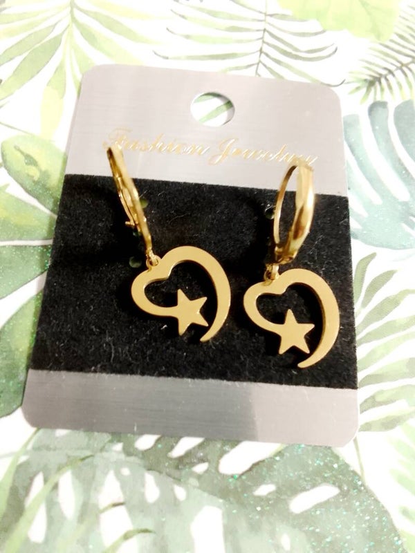 Stainless steel Earrings