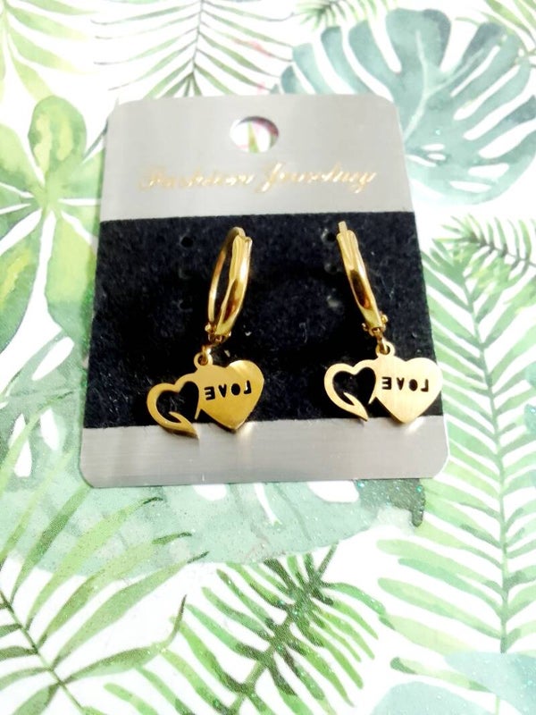 Stainless steel Earrings