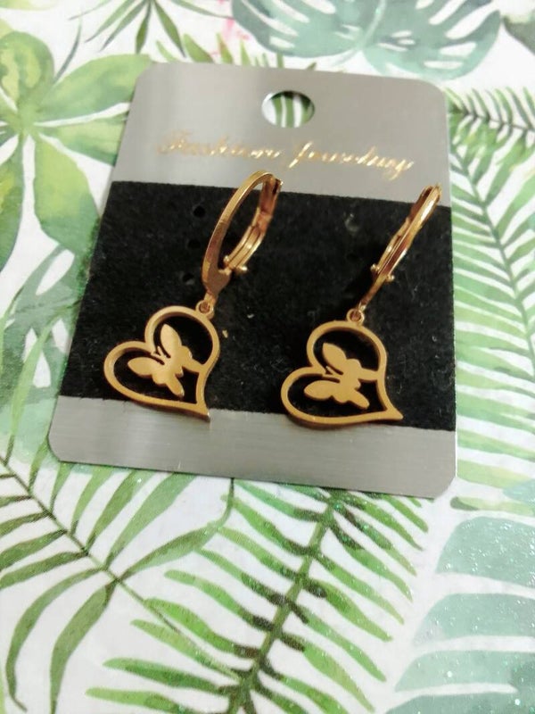 Stainless steel Earrings