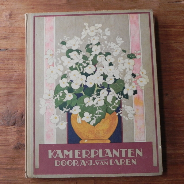 Verkade, Kamerplanten (1928)
