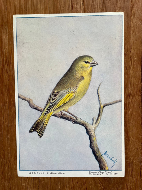 Set van 33 oude vogelplaten uit de reeks 'Onze Vogels', 1958-1964