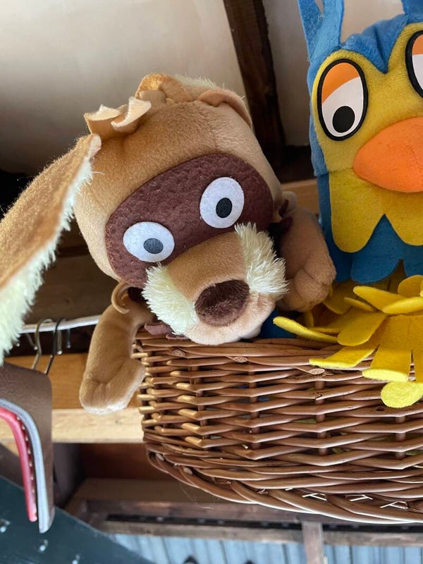 Handpop Zoef de Haas