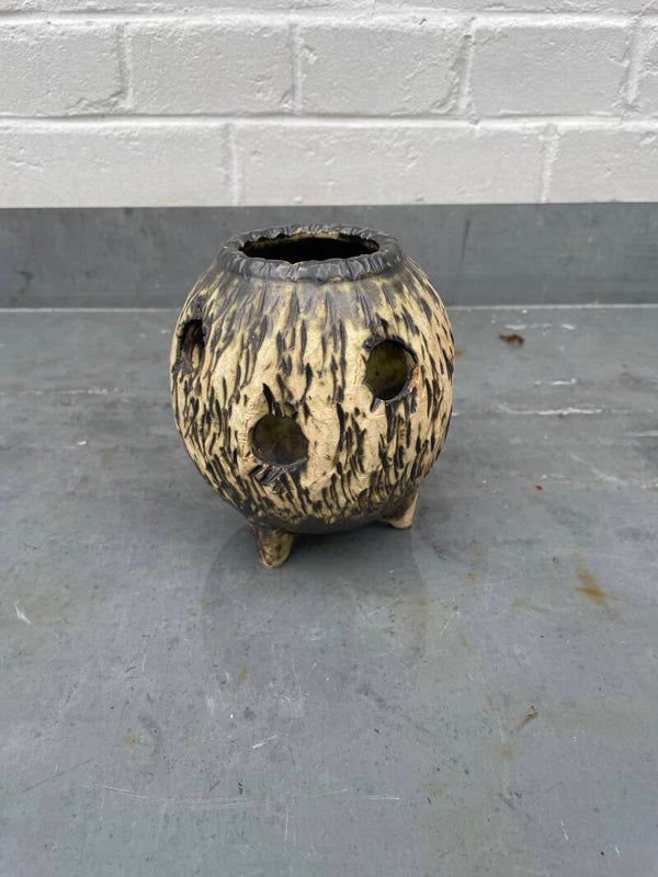 Berkenbast krokuspotje