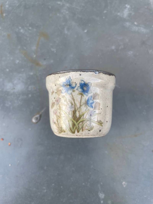 Miniatuur bloempotje, blauwe bloemen