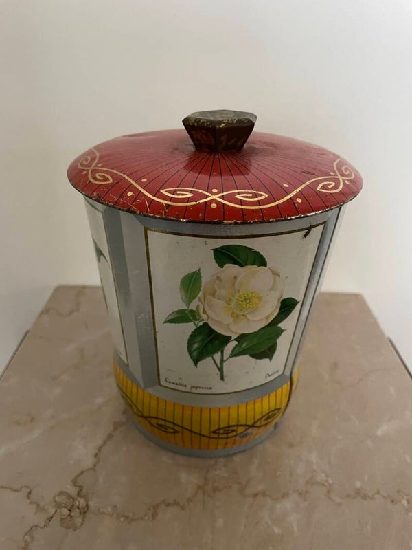 Engels blik met rozen