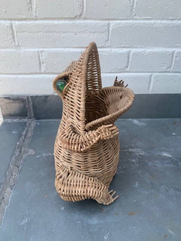 Rotan Kikker van Olivier Cajan