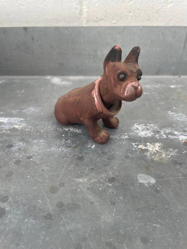 Knikhondje, boxer