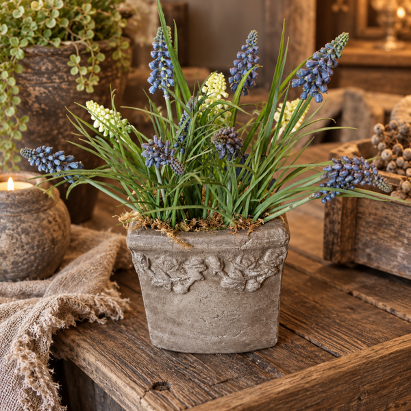 Blauwe Druifjes in Rustieke Pot