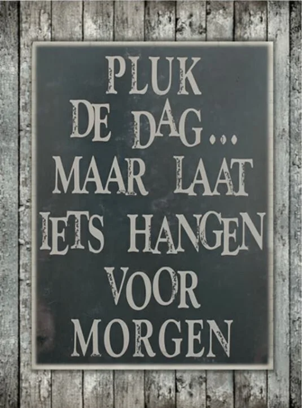 🖤 Tekstbord – Pluk de dag