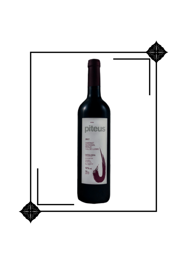 Vi Negre Piteus 75 cl 13º