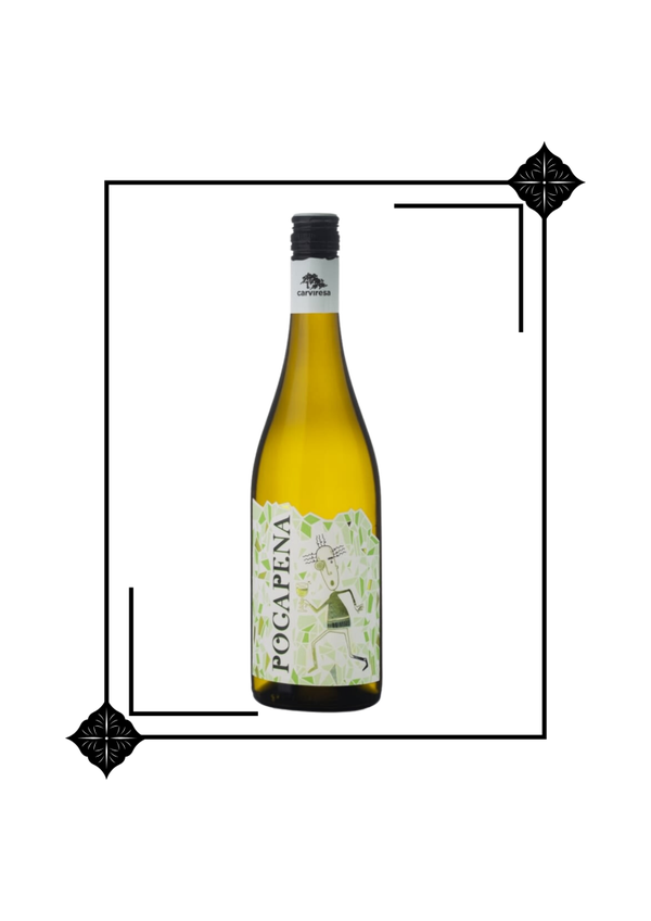 Vi Pocapena Blanc 75 cl