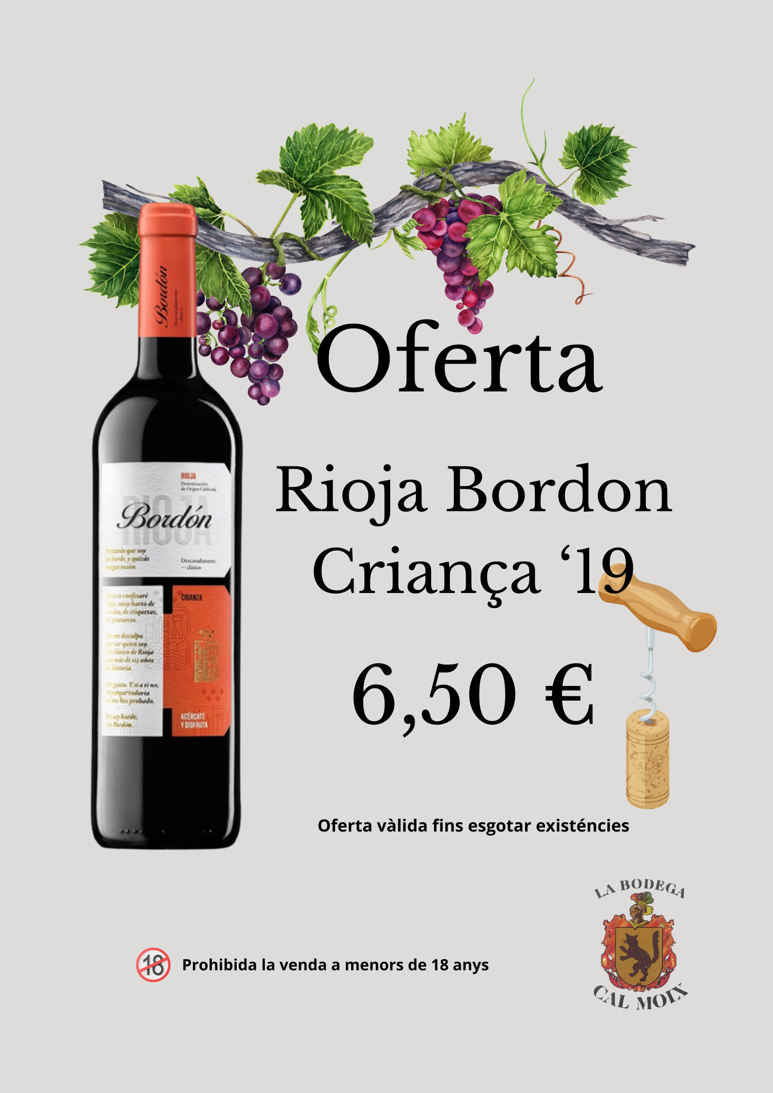 Vi Rioja Negre Bordon Criança '19