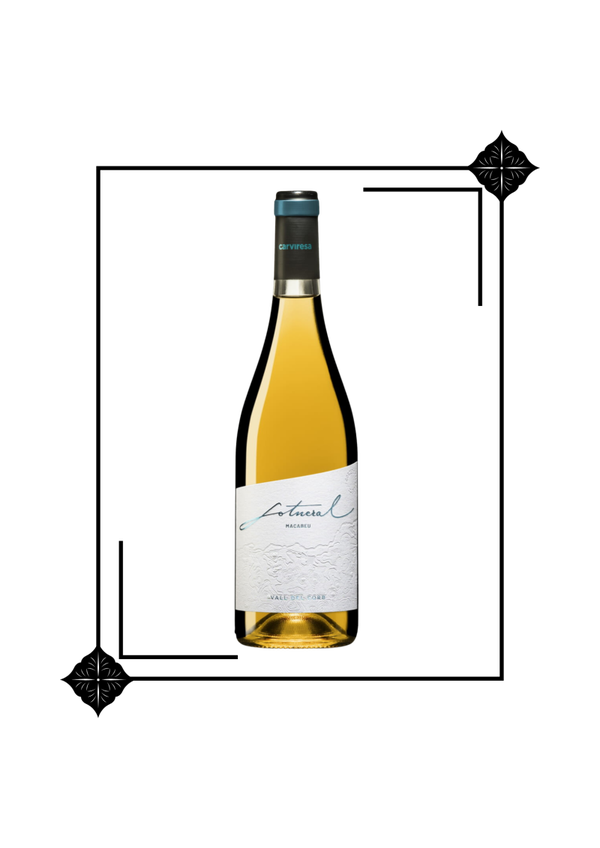 Vi Sotneral Macabeu Blanc 75 cl 11,5º Costers Segre