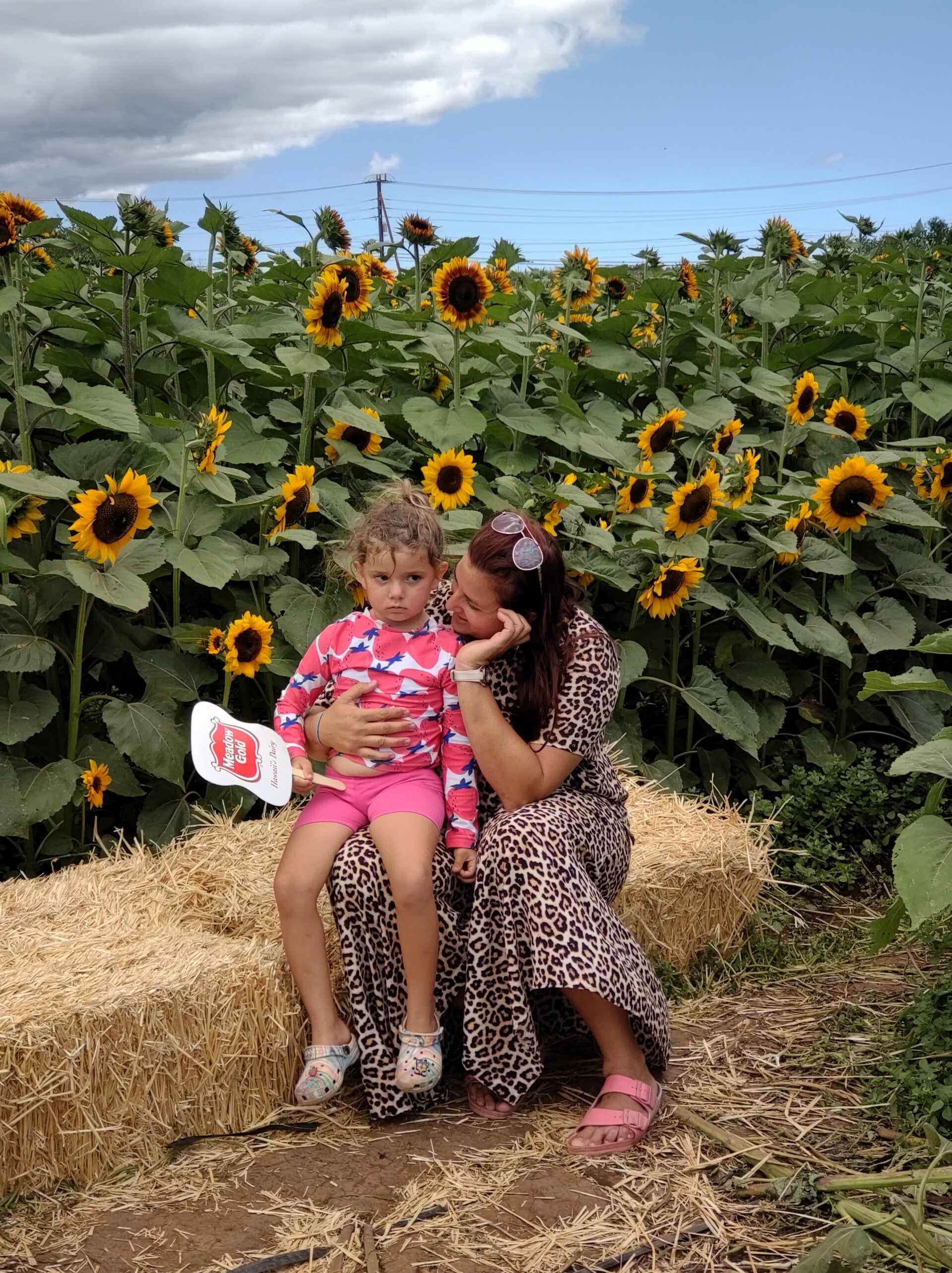 Local Farmers Markets Explorations