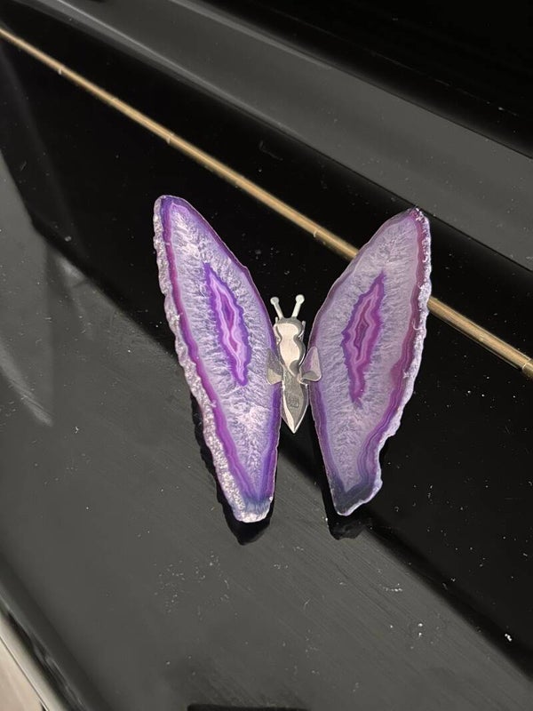 Paars gekleurde agaat vlinder