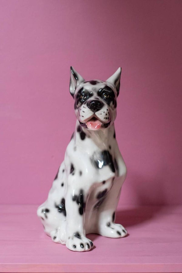 PRE-ORDER MEDIUM GREAT DANE JACKSON