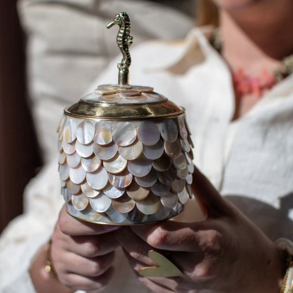 Treasurebox shell big