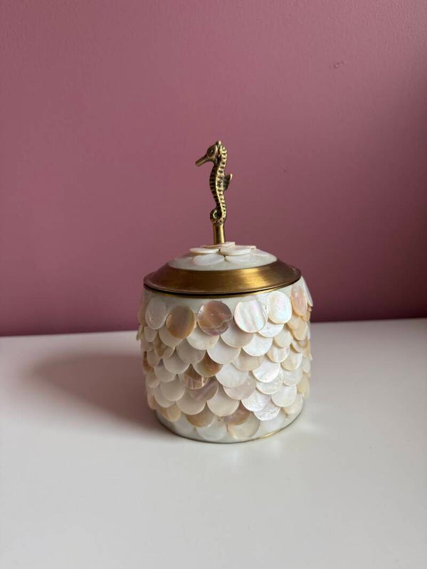 Treasurebox shell big