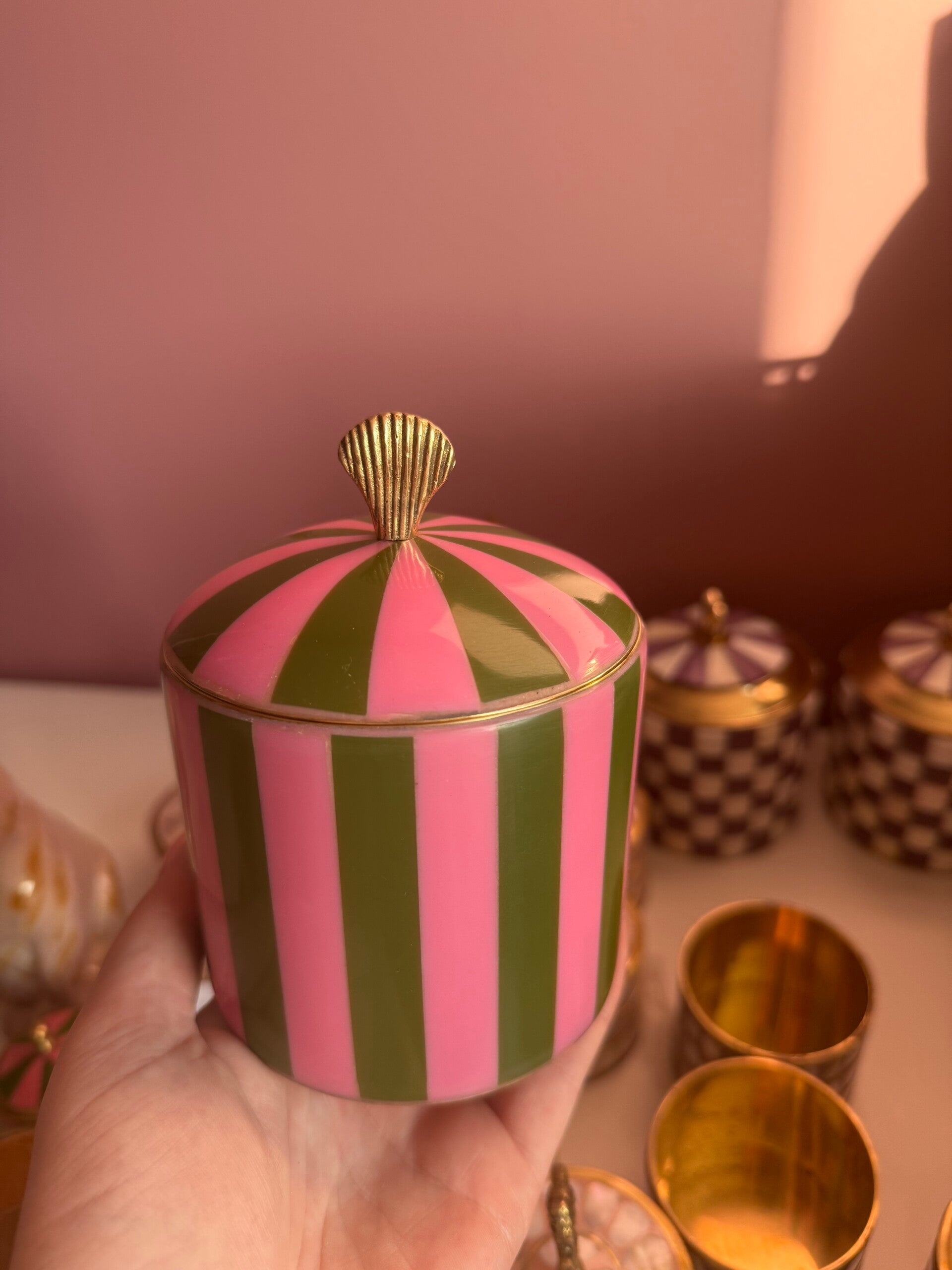 Treasurebox Stace shell green pink