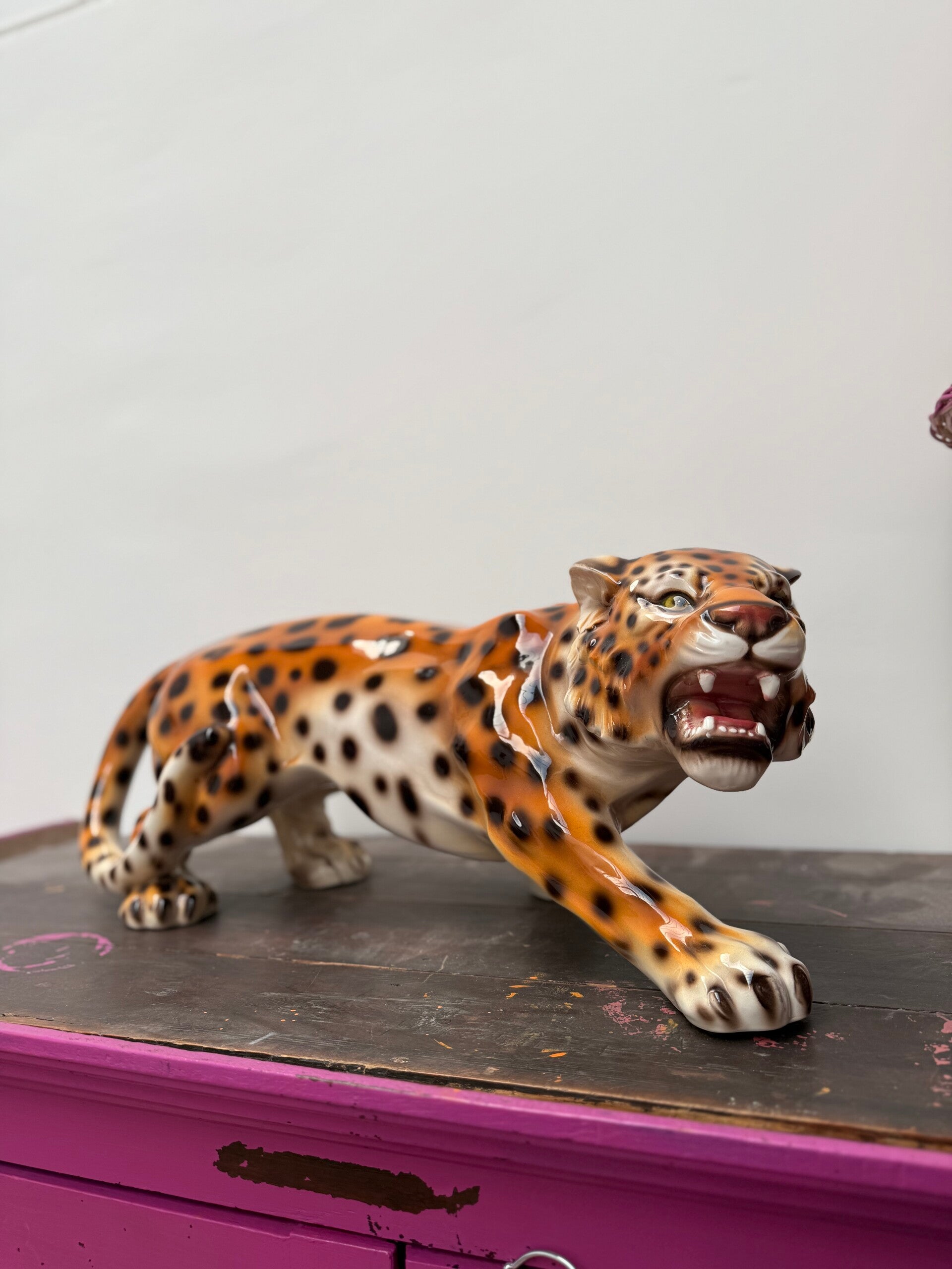 PRE-ORDER JOE THE LEOPARD