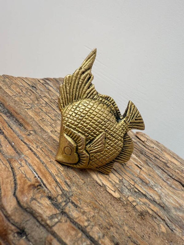 Messing vis kastknop