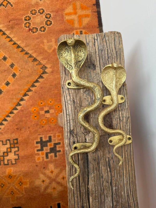 Messing snake deurgreep small