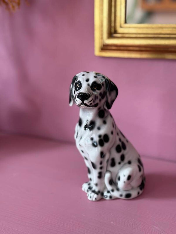 Dalmatiër Bailey