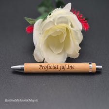 balpen-juf-ine-standard.jpg