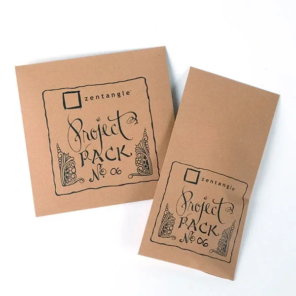 Project Pack 06 - No Mistakes