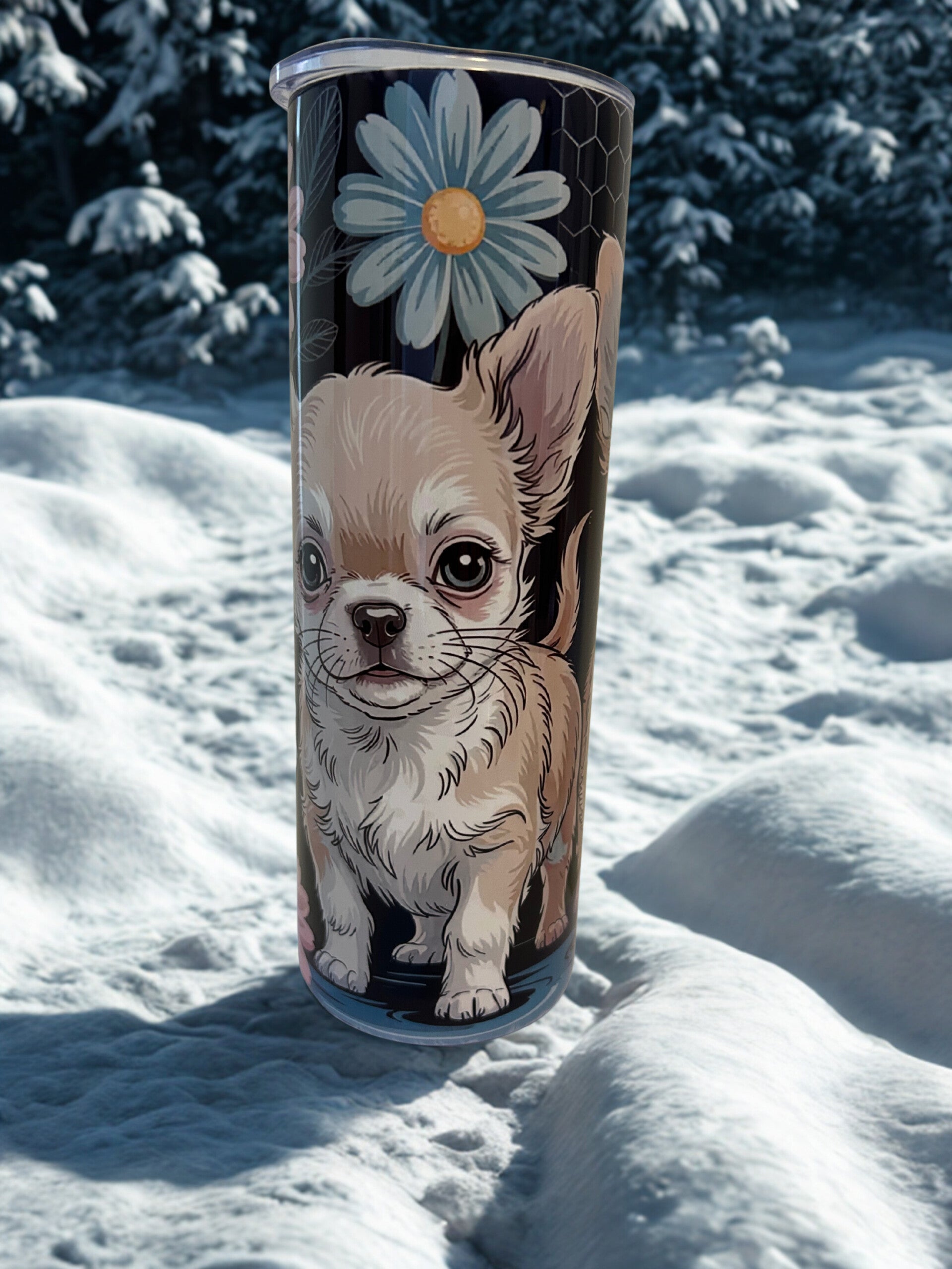Tumbler chihuahua