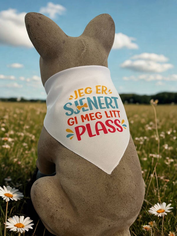 Skjerf til hund-Sjenert