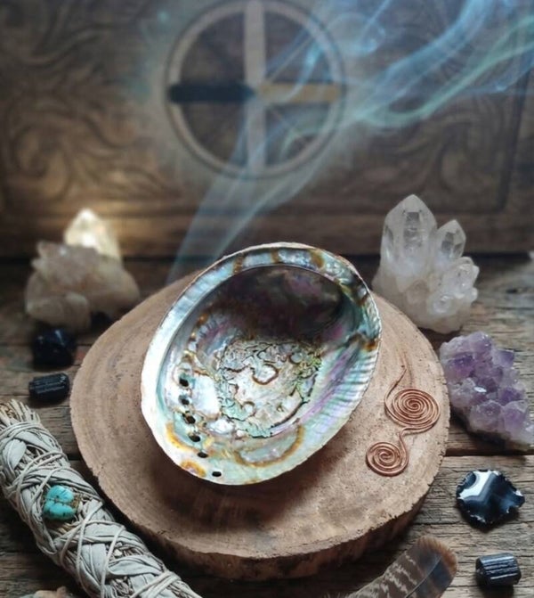 Coquille d'Ormeau Mystique - Rituels & Purification