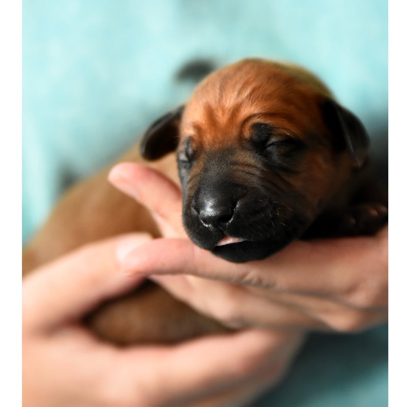 MR-BLUE-WHITE-1-WK.jpg