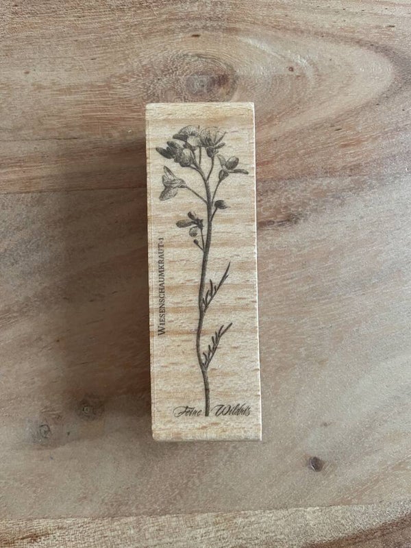 Stempel | Wiesenschaumkraut 1