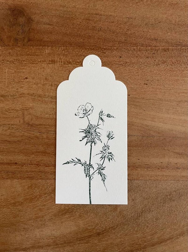 Stempel | Wiesen-Storchschnabel