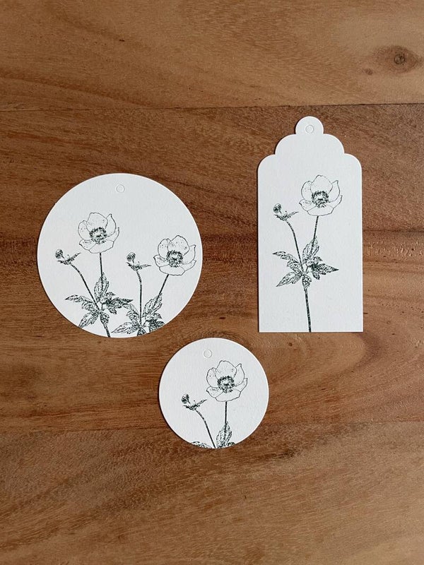 Stempel | Herbstanemone