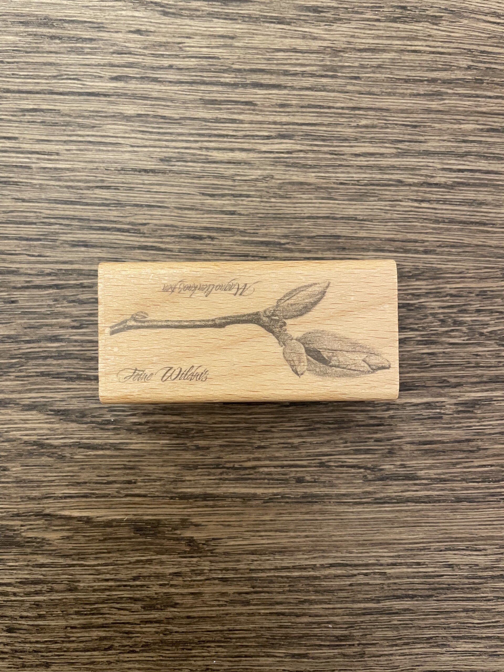 Stempel | Magnolienknospe