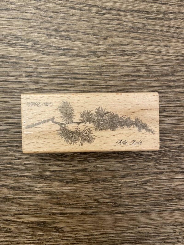 Stempel | Atlas Zeder