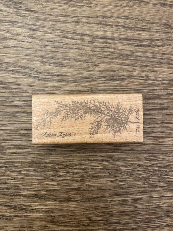 Stempel | Arizona Zypresse