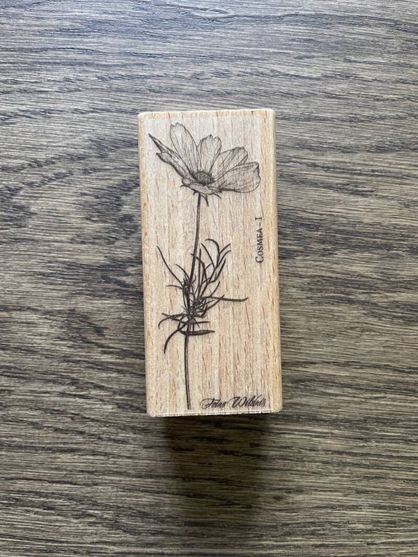 Stempel | Cosmea 1