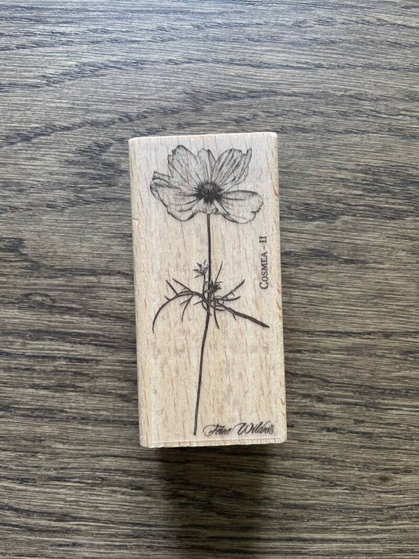 Stempel | Cosmea 2