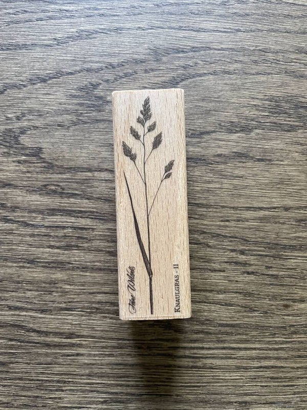 Stempel | Knaulgras 2