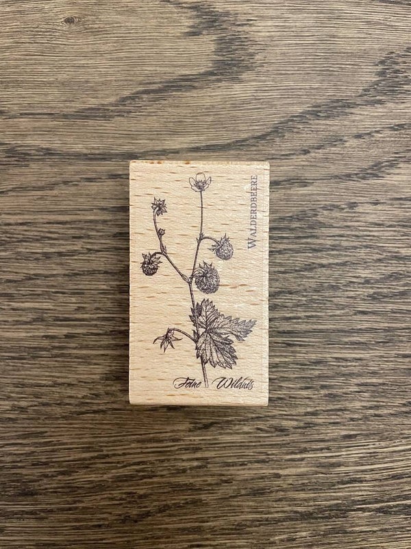 Stempel | Walderdbeere