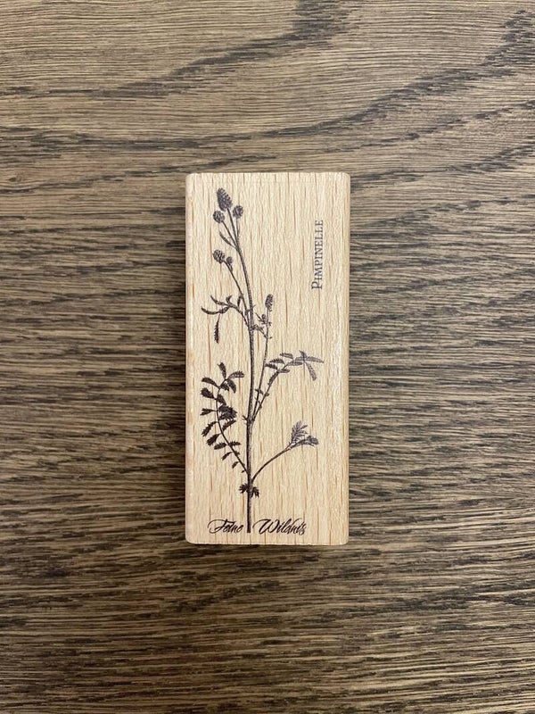 Stempel | Pimpinelle