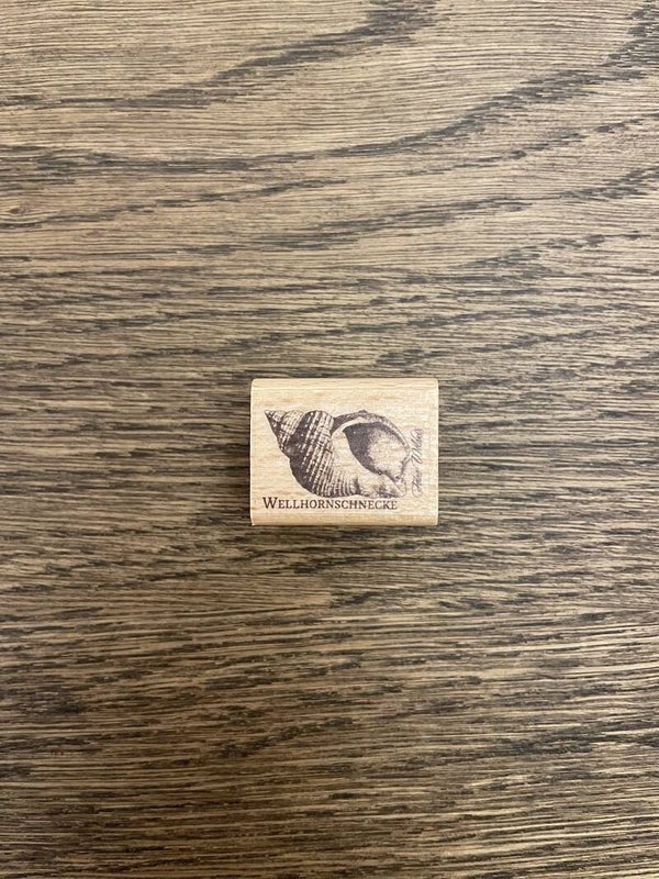 Stempel | Wellhornschnecke