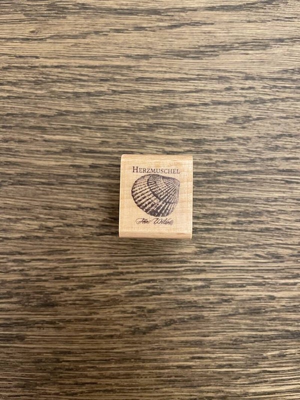 Stempel | Herzmuschel