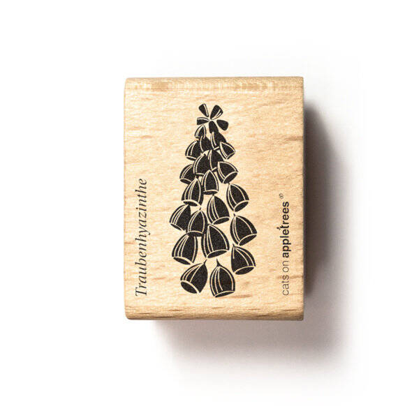 Stempel | Blüte 31 - Traubenhyazinthe 2 gefüllt