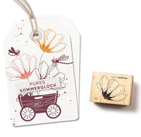 Stempel | Blüte 44 Cosmea