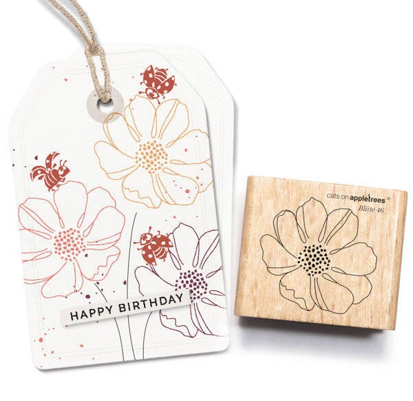 Stempel | Blüte 46 Cosmea
